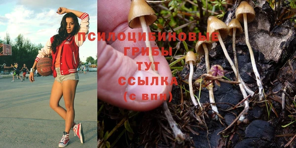 альфа пвп Елизово