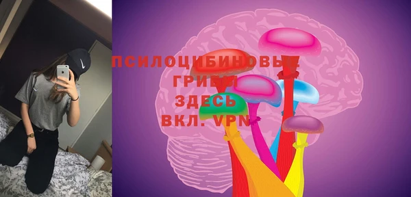 дживик Елабуга