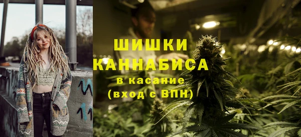 дживик Елабуга