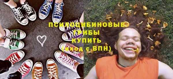 дживик Елабуга