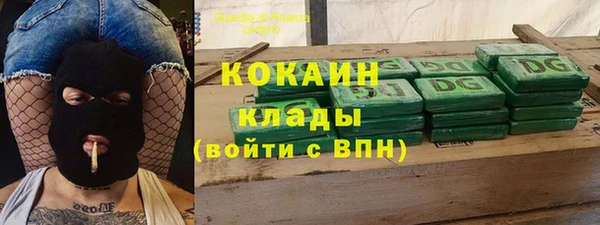 дживик Елабуга