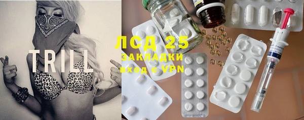 дживик Елабуга