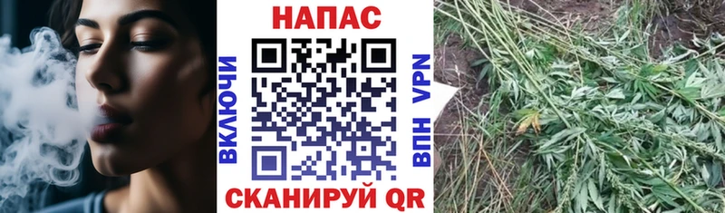 МАРИХУАНА OG Kush Купить где Серов